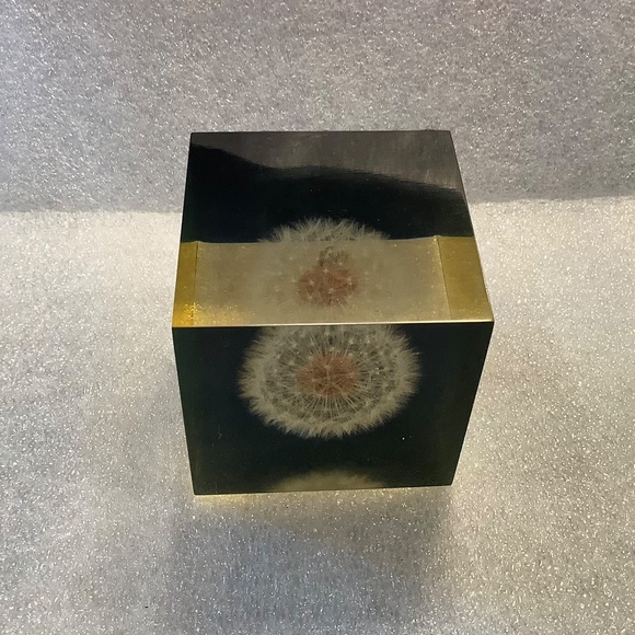 Mid Century Dandelion Flower Lucite Cube Paperweight by Gumps USA 1960s - Picture 5 of 10